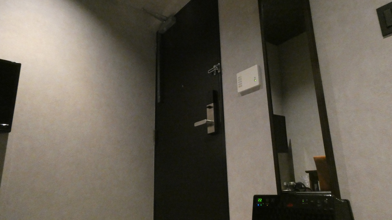 ベッドから部屋の出入口を見るとこんな感じ。広くはないです