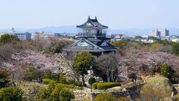 シティ ビュー / 13