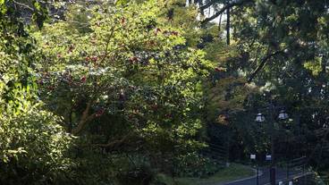 観光スポット / 10