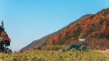 施設の敷地 / 39