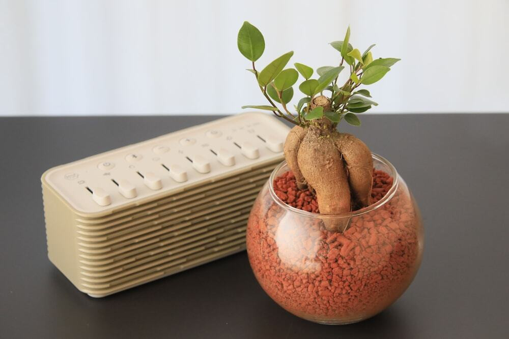 客室の設備とサービス