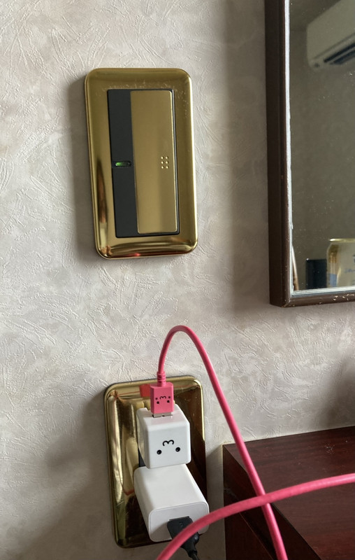 ゴージャスなスイッチプレート