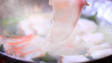 源泉湯宿 大成館(TAISEIKAN)熱海網代温泉(ゲンセンユヤド タイセイカン アタミアジロオンセン) / 1