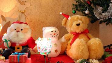 内装の詳細 / 26