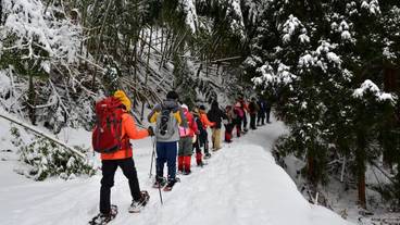 スノーシュー / 4