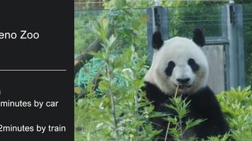 観光スポット / 20