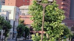 アートホテル盛岡