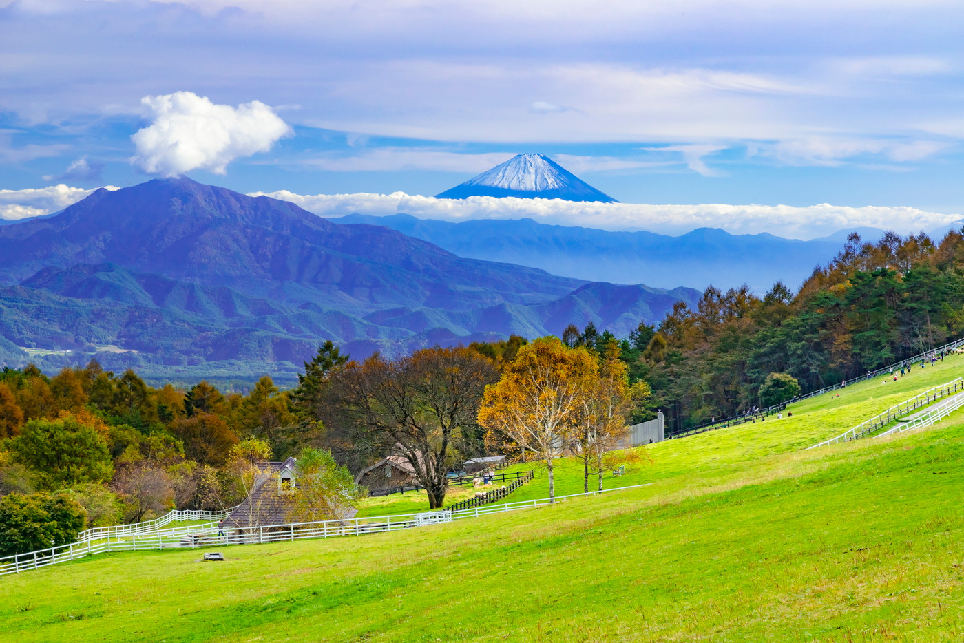清里高原のまきば公園から眺める富士山　山梨県北杜市にて