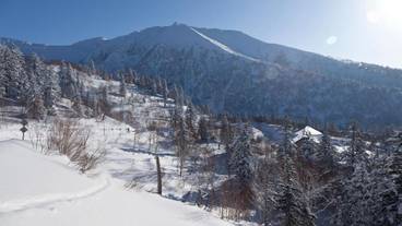 スノー スポーツとスキー / 1