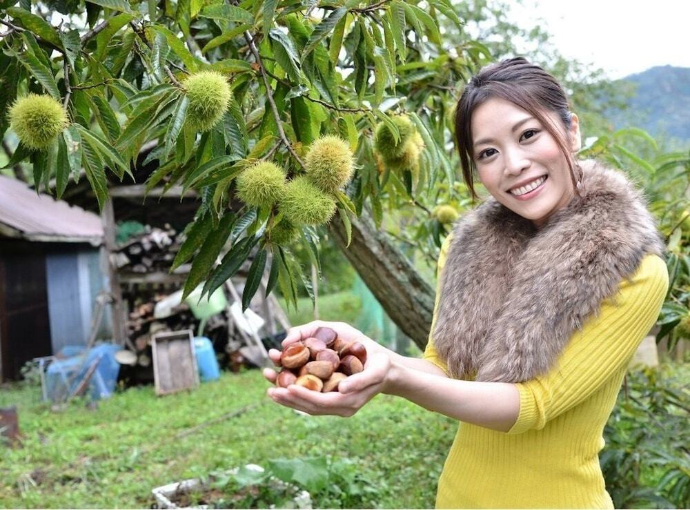 施設からの眺望