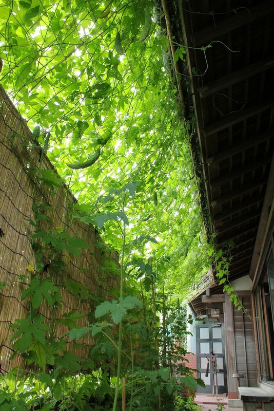 施設の敷地