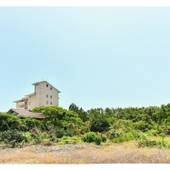 丸源旅館(静岡県 旅館) / 4