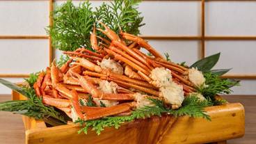 食事・飲み物 / 36