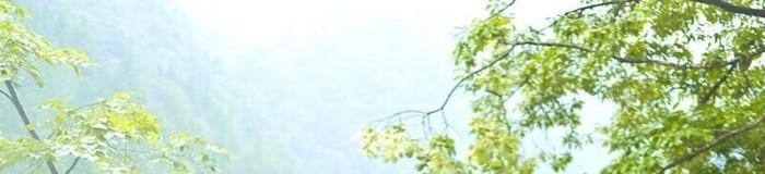 走り続けるあなたへ、静かな富山で息抜き旅のススメ。おすすめ旅館8選