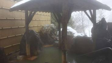 天然プール / 12