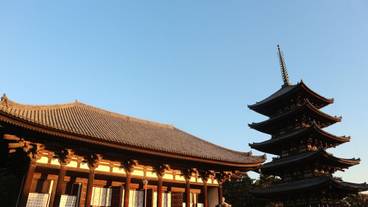 シティ ビュー / 23