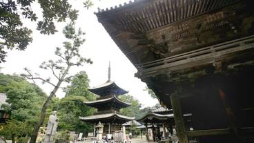 観光スポット / 18