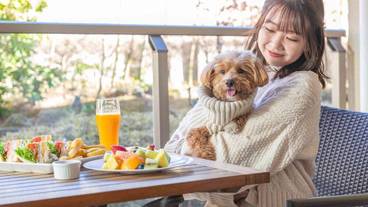 愛犬とテラス / 9