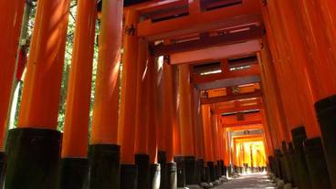 観光スポット / 7