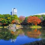 【東京】秋らしい景色に心安らぐ。“紅葉狩り”の拠点にしたいホテル9選