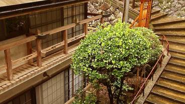 施設からの眺望 / 10