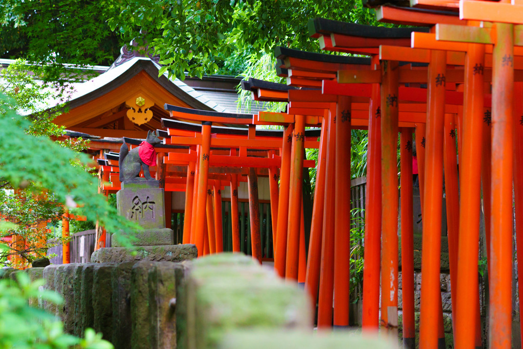 11.写真を撮っても楽しい「根津神社」2344937