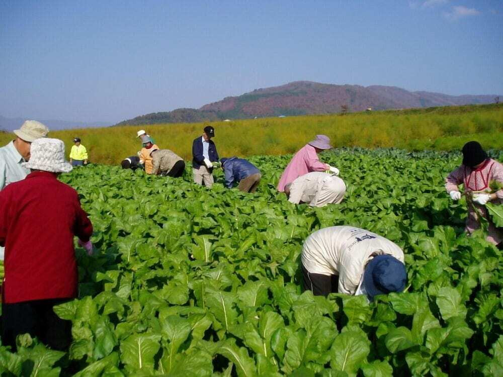 施設からの眺望