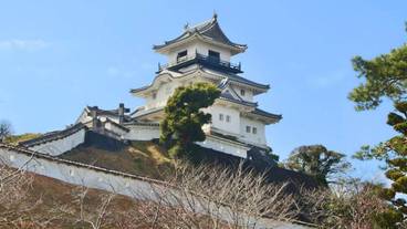 観光スポット / 8