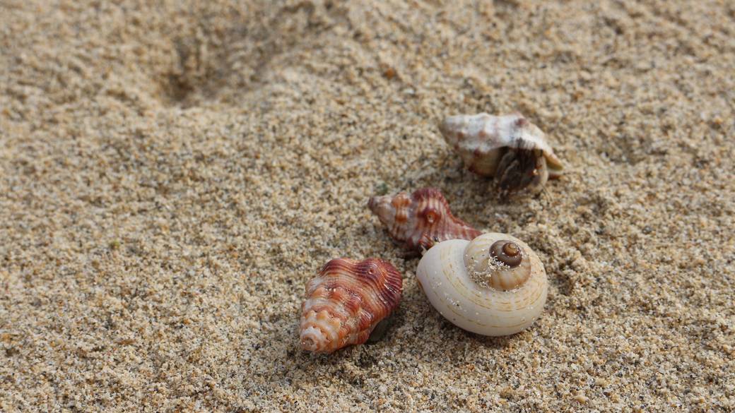 「ムルク浜ビーチ」へ
のんびりお散歩 / 3