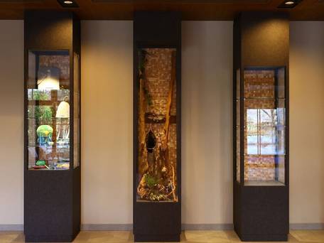 天然温泉 富士桜の湯 ドーミーインEXPRESS富士山御殿場 / 3