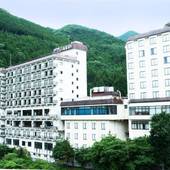 鬼怒川温泉ホテルニューおおるり（栃木県 旅館） / 3