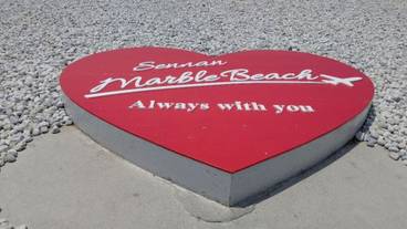 ランド ビュー / 29