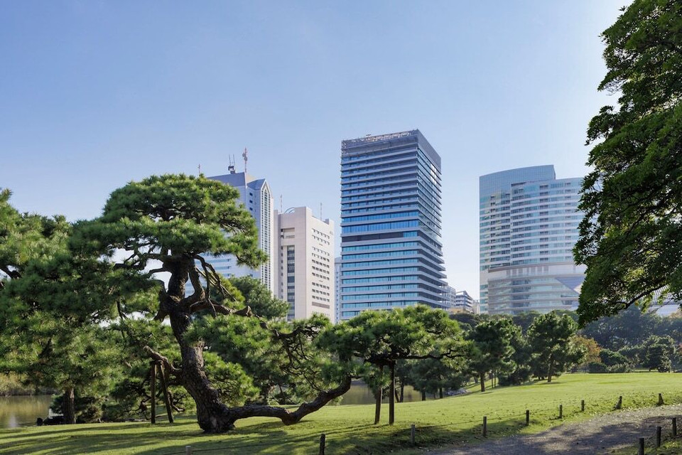 メズム東京、オートグラフ コレクション(メズムトウキョウ、オートグラフ コレクション) / 1