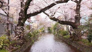 施設からの眺望 / 9