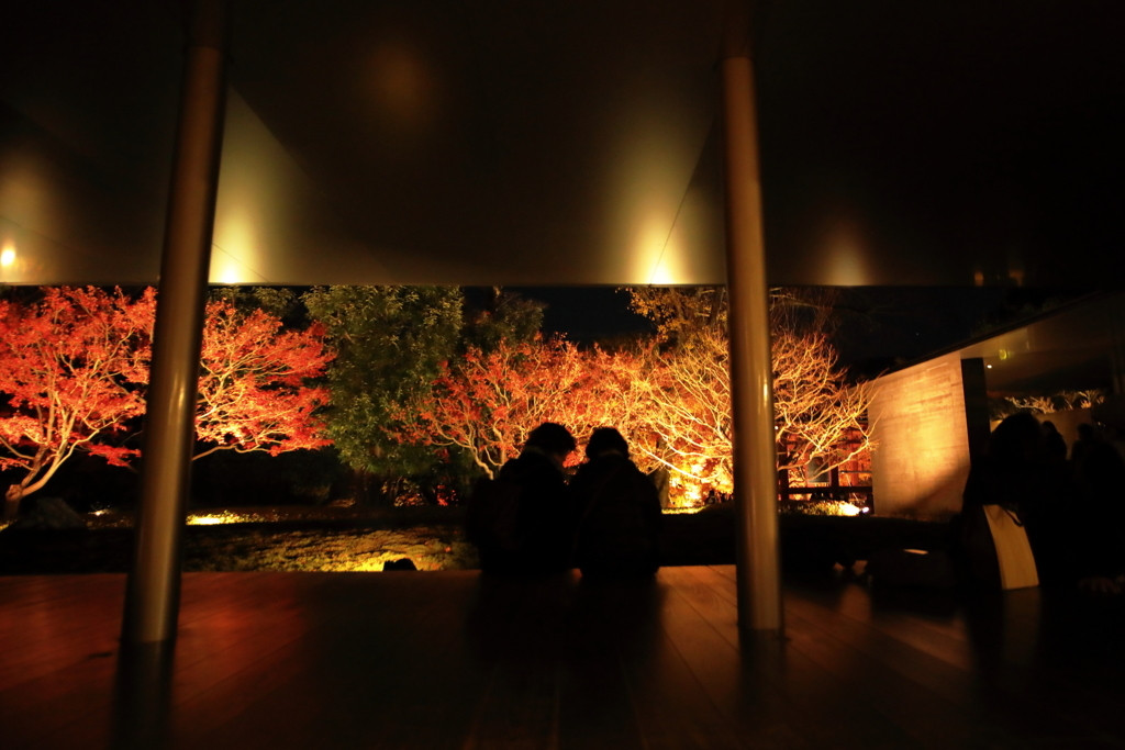 平成最後に眺める紅葉は、古都「京都」へ2105256