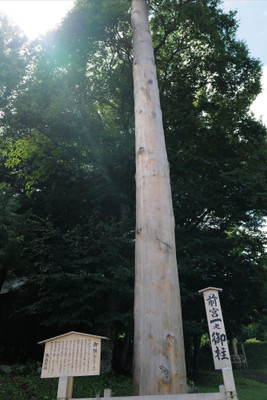hk.199wさんの写真 / 1