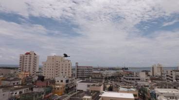 部屋からの景観 / 19