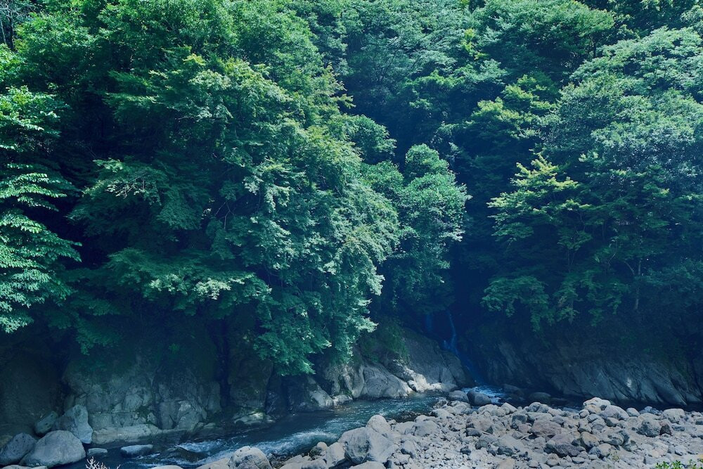 バルコニーからの眺望