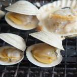 九十九里名物！焼はまぐりなら老舗＆人気店の「向島」へ！