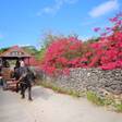 【沖縄】竹富島の旅館＆ホテルで贅沢なひとときを。のんびりリゾート気分を味わえる宿4選