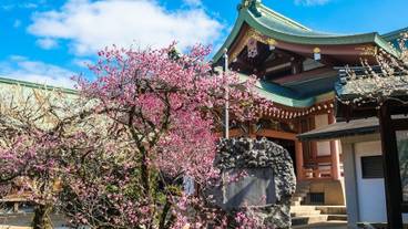 観光スポット / 5