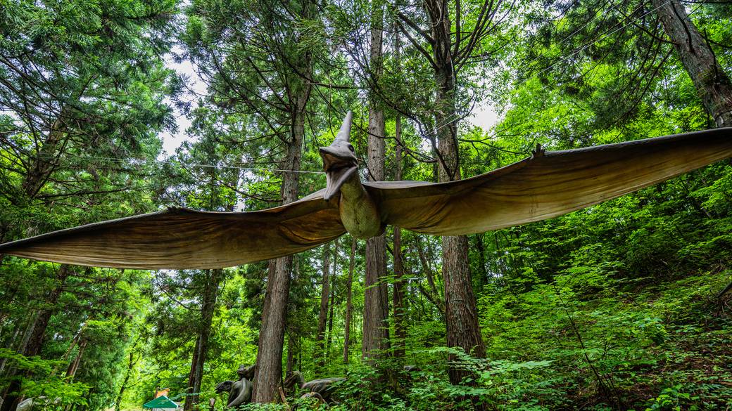 かつやまディノパーク / 2