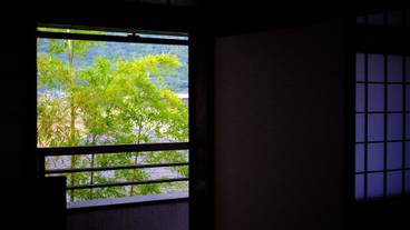 部屋からの景観 / 33