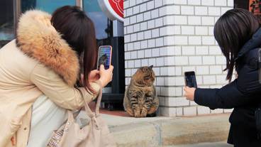 ランド ビュー / 18