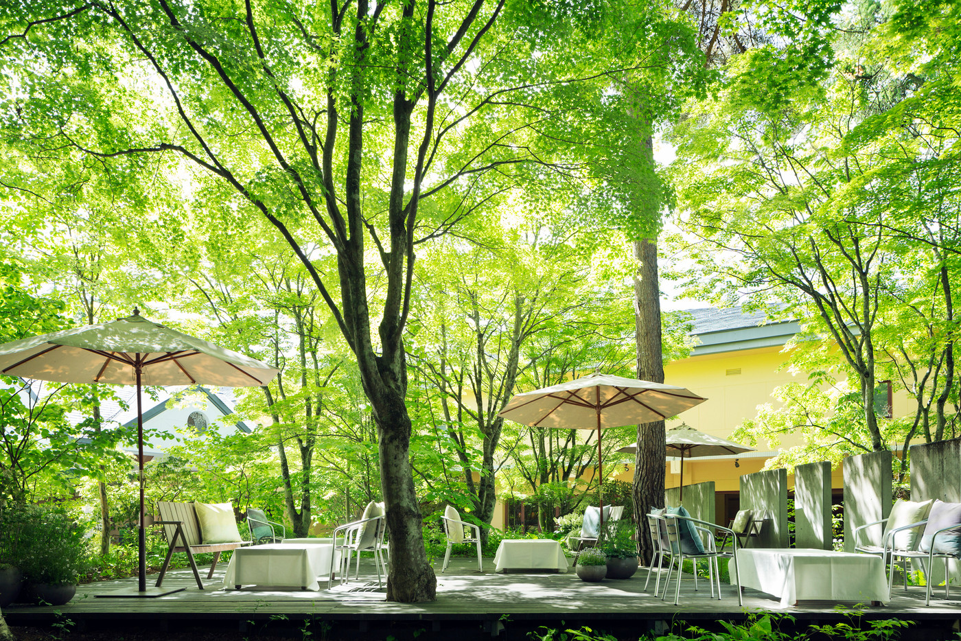 客室は木立に佇むコテージスタイル、自然に抱かれるリラックスステイ4263291