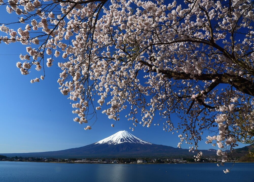 施設からの眺望