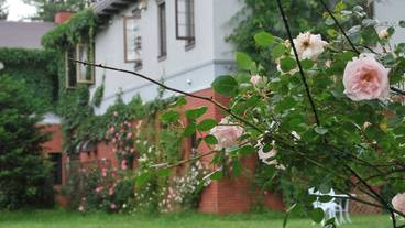 メイン イメージ / 1