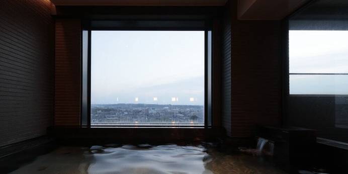 カンデオホテルズ 半田（愛知県 ビジネスホテル） / 1