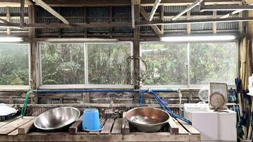 子供向けアクティビティ / 3