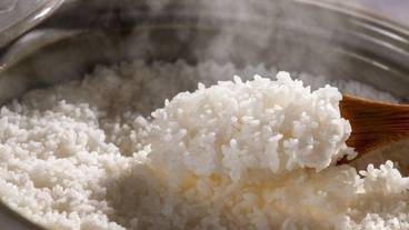 食事・飲み物 / 14